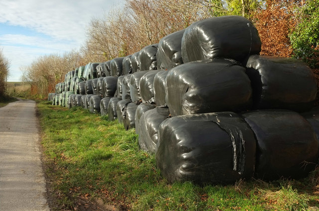 Black plastic bales, Withiel Florey