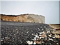 TV5595 : Beach and Cliffs at Birling Gap by PAUL FARMER