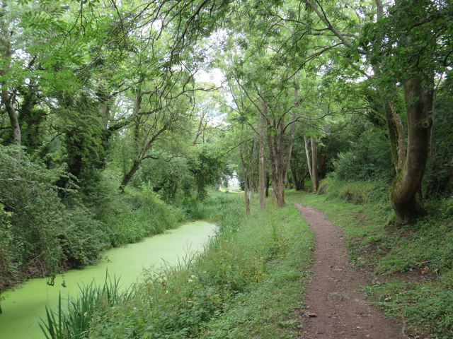 Former Thames & Severn Canal near South Cerney