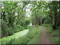 SU0498 : Former Thames & Severn Canal near South Cerney by Malc McDonald