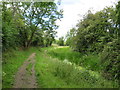 SU0498 : Thames & Severn Way near South Cerney by Malc McDonald