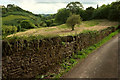 SX8359 : Field, Lower Longcombe by Derek Harper