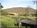 NX6268 : Airie Hill from Loch Skerrow Station by Adrian Taylor