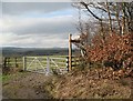 NY1377 : Field Gate and Footpath Sign by Hungryhill Covert by Adrian Taylor