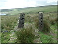 SD9722 : Re-erected gateposts, by the lane to Red Dykes by Christine Johnstone