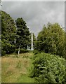 NH6139 : Obelisk, Dochfour Estate by Douglas Nelson