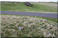 NY7603 : View across Tommy Road from Pudding Howe Hill to lime kiln by Roger Templeman