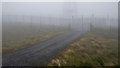 H8189 : North Summit, Slieve Gallion by Rossographer