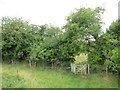 SP3625 : Gate on a bridleway near Enstone by Malc McDonald