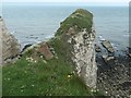 TA2471 : Saddle Nook, Flamborough Head by Christine Johnstone