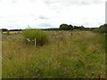 SK7052 : The edge of Parkside Close, Brackenhurst estate by Alan Murray-Rust