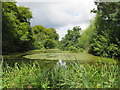 SP3726 : Lake in Heythrop Park, near Chipping Norton by Malc McDonald