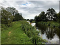 SD4614 : Leeds and Liverpool Canal, Rufford Branch by David Dixon