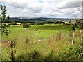 NZ1654 : Grazing pastures at Mounsett by Robert Graham