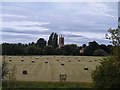 SP2556 : Charlecote Park [10] by Michael Dibb