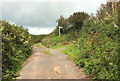 SX7853 : Green lane junction near Halwell Cross by Derek Harper