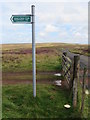 NT6560 : Right of way signpost in the Lammermuir Hills by M J Richardson