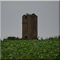 SE9889 : Ruined water tower by Mick Garratt