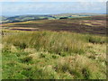 NT6660 : Lammermuir moorland by M J Richardson