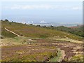 ST1438 : Path on the Quantock Hills, near Crowcombe by Malc McDonald