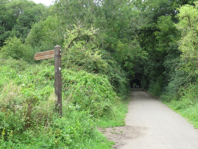 Strawberry Line path near Axbridge