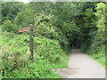 ST4255 : Strawberry Line path near Axbridge by Malc McDonald