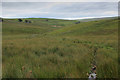 SD7694 : A Tributary of Grisedale Beck by Chris Heaton