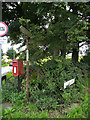 SE2601 : Post box and old finger post, Oxspring by Humphrey Bolton