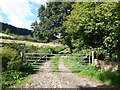 SO4423 : Driveway to Trewadoc Farm by Oliver Dixon