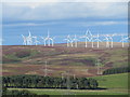 NT6264 : New tree planting at Mayshiels by M J Richardson