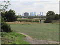 TQ4086 : Wanstead Flats by Malc McDonald