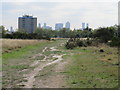 TQ4086 : Wanstead Flats by Malc McDonald