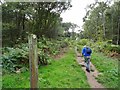 SO8383 : Staffs Way Steps by Gordon Griffiths