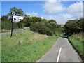 SY6587 : Country lane near Dorchester by Malc McDonald