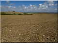 SY6487 : Bridleway across a field near Dorchester by Malc McDonald