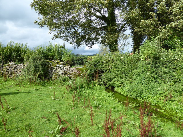 Beck near Dreamland Farm