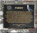 D2818 : Memorial to Paddy by Gerald England