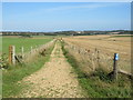 SY6689 : Public bridleways near Dorchester by Malc McDonald