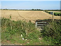 SY6690 : Public footpath near Poundbury by Malc McDonald