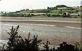 SX8972 : Teign estuary by Derek Harper