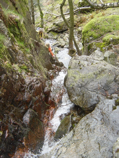 Scrambling in Scale Gill