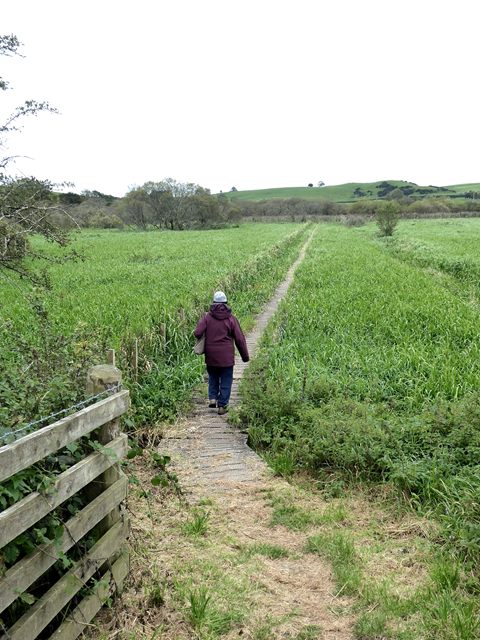 Boardwalk south of Carlingwark Loch