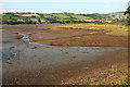 SX8972 : Stream and Teign estuary by Derek Harper