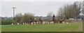 ST7990 : Beaufort & Berkeley Hunt, Tresham, Gloucestershire 2017 by Ray Bird