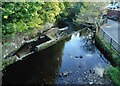 NS5574 : Fish ladder, Milngavie by Richard Sutcliffe