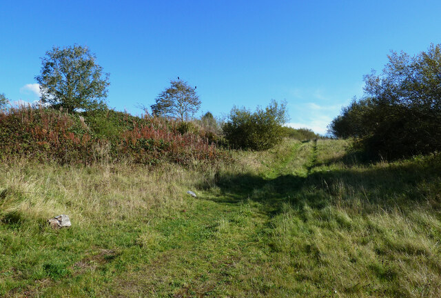 Spoil heap on Shewalton Moss