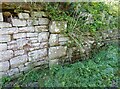 NY1750 : Stone quoins in roadside wall by Adrian Taylor