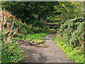 NS7748 : Fallen tree across the Struther & Swinhill Road by wrobison