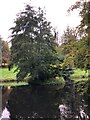 SP6737 : Captain Cook's Monument, Stowe Park by Philip Cornwall