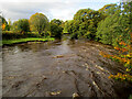 SJ9892 : River Etherow by Stephen Burton